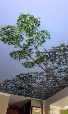 wp2a15f068.png