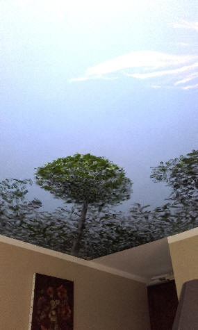 wp95ef6c6a.jpg